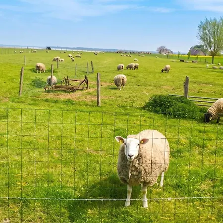 Au Mont Chez Nous Hébergement de vacances