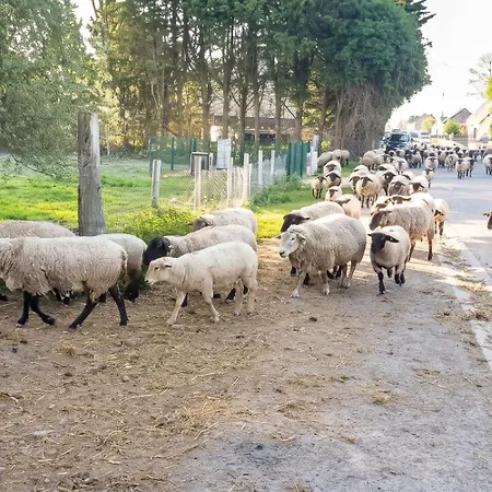 Hébergement de vacances Au Mont Chez Nous Pontorson